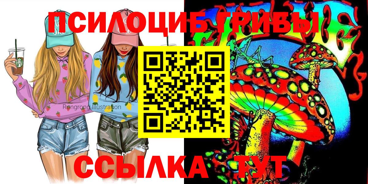 где найти   Вход с VPN  Рязань  Галлюциногенные грибы мухоморы 